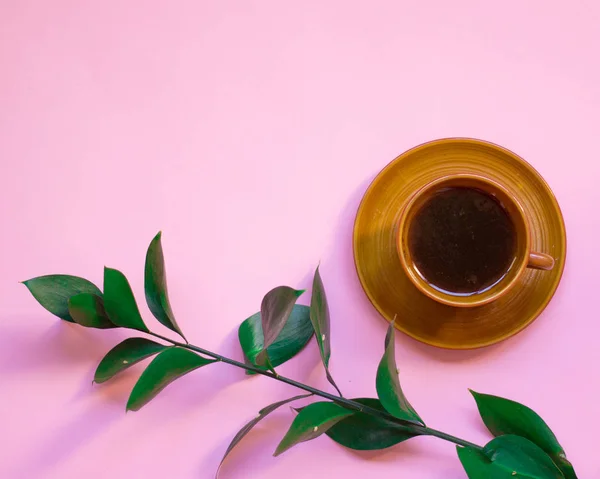 minimalist düz lay, pastel renkler, fincan kahve, yeşil şube