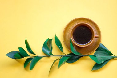 minimalist düz lay, sarı arka plan, kahve, yeşil şube