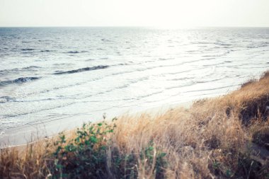 Deniz manzarası, kıyı şeridi, yaz manzarası.