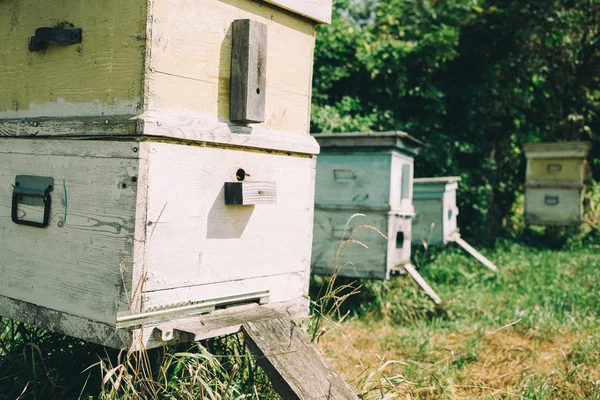 Ein Alter Bienenstock Bienenhaus — Stockfoto