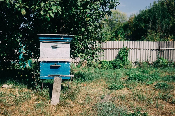 養蜂場のミツバチの古い蜂の巣箱 — ストック写真