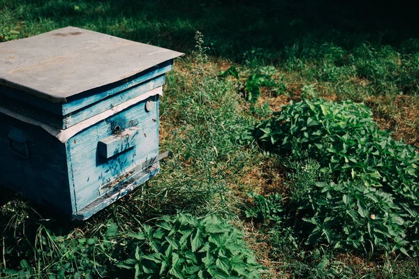 Une Vieille Ruche Abeilles Dans Rucher — Photo