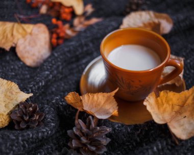 Bir fincan kahve ile renkli koyu gri örgü kazak üzerine düşmek akçaağaç yaprakları ve çam kozalakları. Sonbahar rahat arka plan.