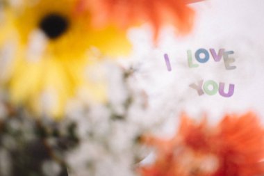 ı love you renkli harfler ve gerbera buketi - arka plan seviyorum