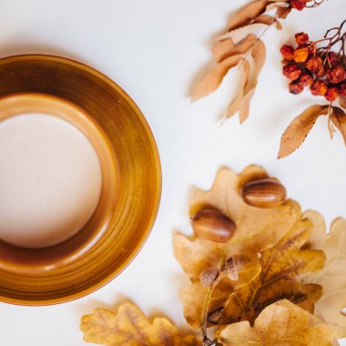 Çay Sonbahar dekorasyonu, sarı meşe yaprakları, Rowan çilek beyaz arka planda, kopya alanı
