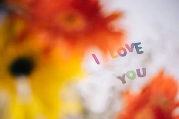 Letras Coloridas Amo Você Gerbera Buquê Fundo Amor — Fotografia de Stock