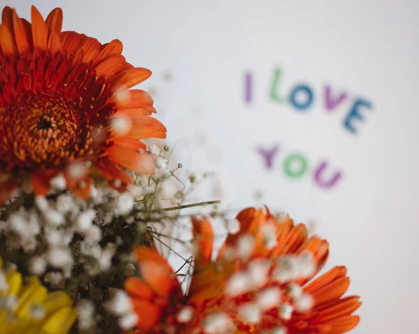 Färgglada Bokstäver Jag Älskar Dig Och Gerbera Bukett Älskar Bakgrund — Stockfoto