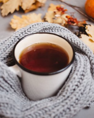 turuncu ve sarı sonbahar yaprakları, bir fincan çay bir sıcak örme eşarp ve Not defteri gri arka plan, kopya alanı ile üstten görünüm üzerindeki kolu ile sarılmış