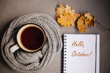 turuncu ve sarı sonbahar yaprakları, bir fincan çay bir sıcak örme eşarp ve Not defteri gri arka plan, üstten görünüm üzerindeki kolu ile sarılmış