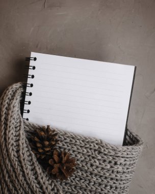 gri bir eşarp ile çam kozalakları gri arka plan, kopya alanı ile üstten görünüm üzerinde dizüstü sarılı