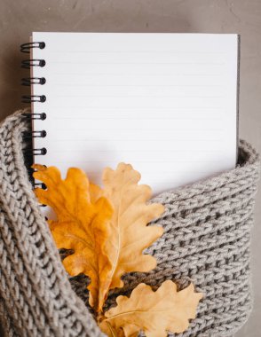bir eşarp ile sonbahar meşe yaprakları gri arka plan, kopya alanı ile üstten görünüm üzerinde sarılı defter