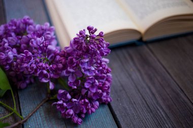 Lila ve açılan kitap ahşap bir masa üzerinde Şubesi