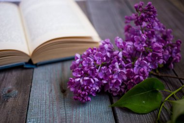 Lila ve açılan kitap ahşap bir masa üzerinde Şubesi