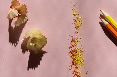 sarı, turuncu kalem, kalemtıraş çöp ahşap, sert ışık