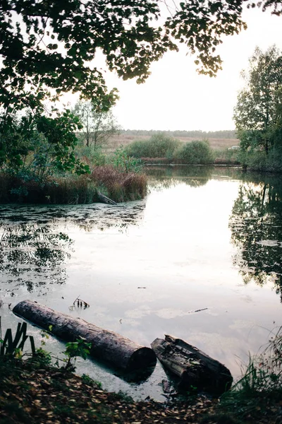 manzara nehir su, akşam gökyüzü arka plan, günbatımı ağaç