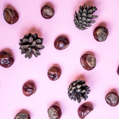 Kestane ve çam kozalakları, sonbahar pembe bir arka plan ile geometrik desen