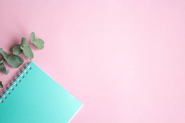 Düz yatıyordu pastel kompozisyon. nane renkli Not defteri ve eucaliptus pembe bir arka plan üzerinde arka plan