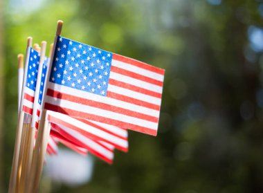 Minyatür kağıt ABD bayrakları. Bulanık arka plan açık havada Amerikan bayrağı