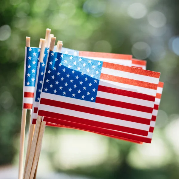 Minyatür kağıt ABD bayrakları. Bulanık arka plan açık havada Amerikan bayrağı
