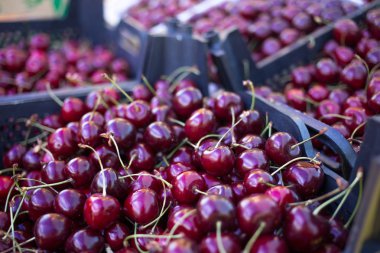 taze kırmızı kiraz, satıcının meyve ve sebze, çiftçinin pazar Sayaç kutuları