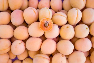 kutu kayısı, meyve ve sebze, çiftçinin pazar satıcı sayacı