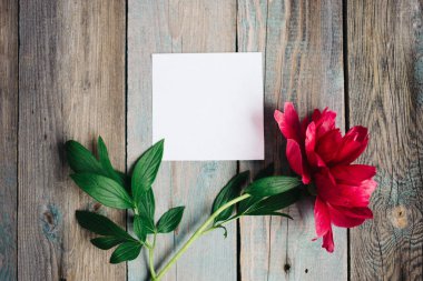 Şakayık Çiçeği ve ahşap arka plan üzerinde boş kağıt sayfası