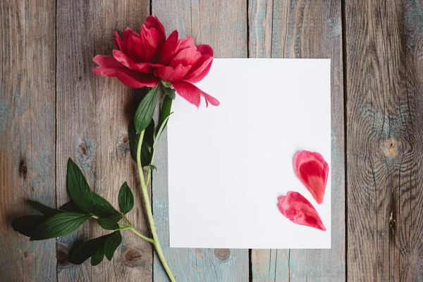 牡丹の花と木の背景に空白の紙シート — ストック写真