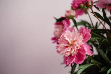 dekorasyon düğün sandalyedeki bir vazoda kırmızı peonies buket