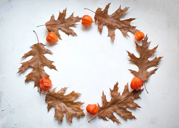 Corona Otoño Hecha Hojas Arce Otoño Flores Physalis Piso Tendido —  Fotos de Stock