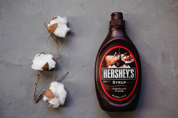 Moskova Rusya - 11 14 2018: şişe Hershey's çikolata şurubu. Pamuk bitki, gri arka plan