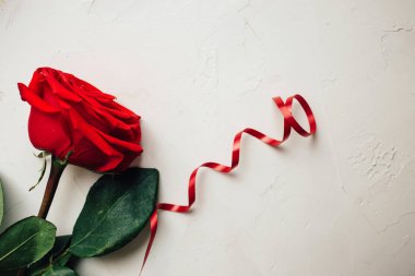 Tek kırmızı gül, kırmızı kurdele beyaz arka plan, güzel doku sıvalı.