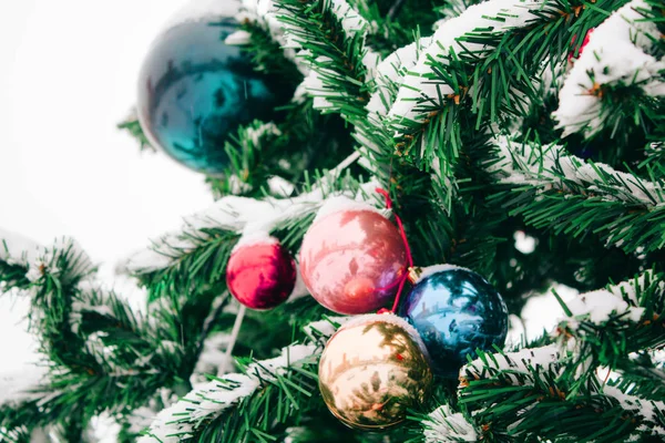 Ramo Com Neve Árvore Natal Com Bola Natal Colorido Livre — Fotografia de Stock