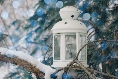 Kış, kar, beyaz fener karla kaplı dalı. Güzel bokeh arka plan