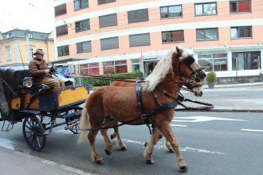 Salzburg, Avusturya - 19 Mart 2013: Kış Salzburg sokaklarda görünümünü. Atlı kızak