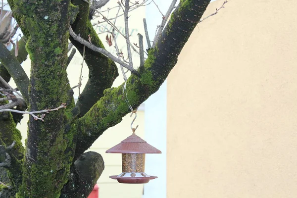 Salzburg Oostenrijk Maart 2013 Uitzicht Straten Van Salzburg Winter Lampjes — Stockfoto