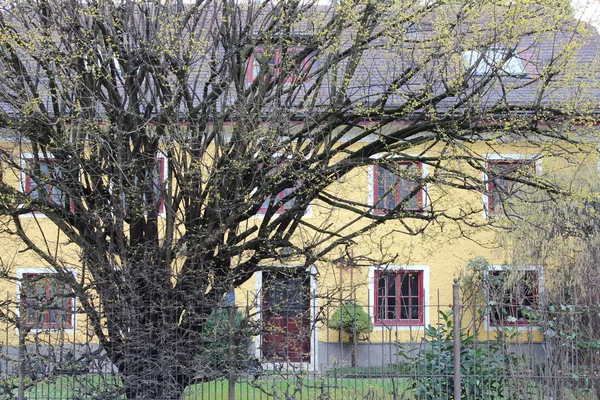 Salzburgo Áustria Março 2013 Vista Das Ruas Salzburgo Inverno Edifícios — Fotografia de Stock