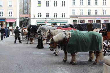 Salzburg, Avusturya - 19 Mart 2013: Kış Salzburg sokaklarda görünümünü. Atlı kızak