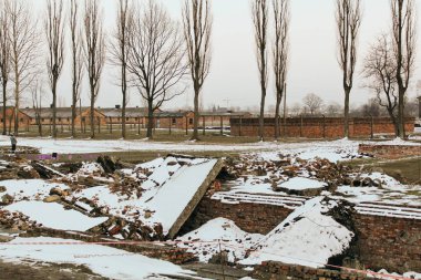 Aushwitz, Polonya: 03 16 2013: Aushwitz toplama ve imha kampı