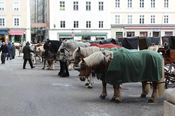 Salzburg, Avusturya - 19 Mart 2013: Kış Salzburg sokaklarda görünümünü. Atlı kızak