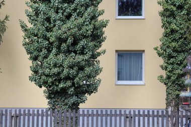 Salzburg, Avusturya - 19 Mart 2013: Kış Salzburg sokaklarda görünümünü. binalar