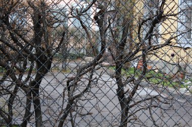 Salzburg, Avusturya - 19 Mart 2013: Kış Salzburg sokaklarda görünümünü. bir asma ile bir metal ızgara