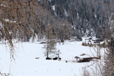 Mağara, İtalya - 03 20 2013: Alp Dağları'nda geleneksel ahşap evler. Dağ manzarası. İtalyan köyleri
