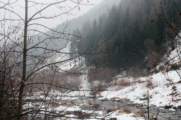 Mountain River Vintern Vackra Dimmiga Vinterlandskap — Stockfoto