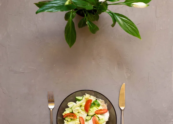 Sağlıklı Salata Sebze Domates Salatalık Buzdağı Çatal Bıçak Takımı Spatifilyum — Stok fotoğraf