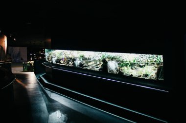 Prato allo Stelvio, İtalya - 03 24 2013: Aqua Prad görünümünü. Ziyaretçi Merkezi aquaprad