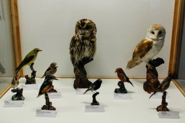 Prato allo Stelvio, İtalya - 03 24 2013: Aqua Prad görünümünü. Ziyaretçi Merkezi aquaprad