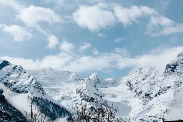 Mount Ortler üzerinde güzel manzaralı buzul ve güneşli kış günü bulutlarda