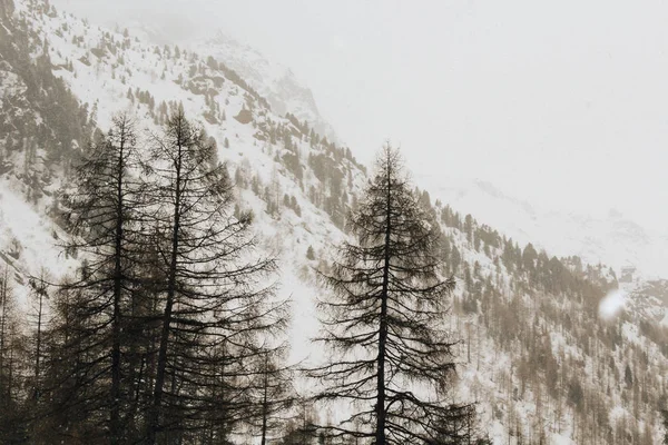 Bewolkt Uitzicht Bergen Van Alpeb Winter Mist — Stockfoto