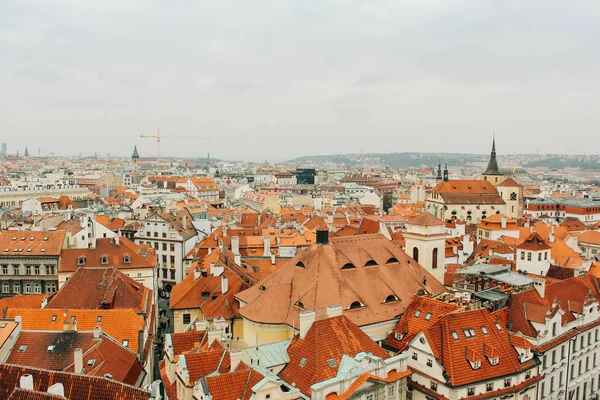 Prague Çek Cumhuriyeti 2013 Mimarlık Binalar Dönüm Noktası Eski Bir — Stok fotoğraf