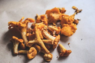 Kağıt üzerinde mantar mantarları. Autumn Cep Mantarları. Ahşap kırsal masaya yakın..